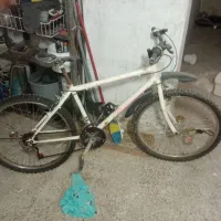 دوچرخه|دوچرخه، اسکیت، اسکوتر|شاهین دژ, |دیوار