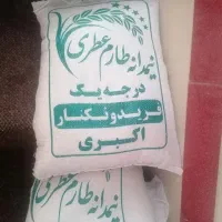 برنج شمال اکبری