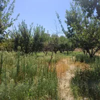 شهرک ویلایی حمیدیه ۲۰۰۰متر باغ سندتک برگ|فروش زمین و ملک کلنگی|هشتگرد, حمیدیه|دیوار