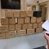شمش طلا ۱۰ گرمی ۹۹۹/۹ (۲۴ عیار خالص)فقط با یک درصد|جواهرات|تهران, سیمای ایران|دیوار