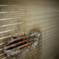 نصب وتعمیر اسپیلت،پکیج،ابگرمکن،کولرابی،گاز صفحه ای|خدمات پیشه و مهارت|زاهدان, |دیوار