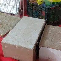 فروش فوری قفس|لوازم جانبی حیوانات|نیشابور, شهرک قدس|دیوار