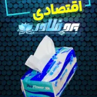 دستما کاغذی اقتصادی