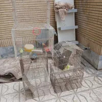 قفس پرنده