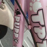 دوچرخه دخترانه|دوچرخه، اسکیت، اسکوتر|پاکدشت, پاکدشت (مامازند)|دیوار