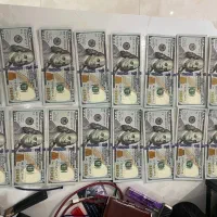 دلار تزئینی پول کلکسیونی