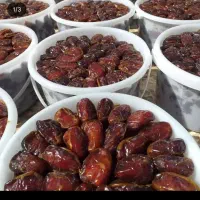 فروش انواع خرما|خوردنی و آشامیدنی|میان جلگه, |دیوار