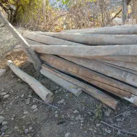 خریدار انواع چوب