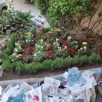 خدمات باغبانی طراحی فضای سبز کاشت گل|خدمات باغبانی و درختکاری|تهران, پاسداران|دیوار