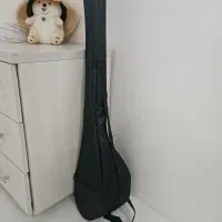 تنبور ، دو تار