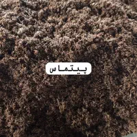 پیت ماس پینداستراپ|خدمات باغبانی و درختکاری|تهران, پامنار|دیوار
