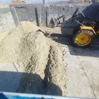 تفاله چغندر خوراک دام میش بره|لوازم جانبی حیوانات|مشهد مرغاب, |دیوار