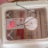 دستگاه جوجه کشی