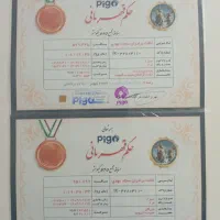 فروش فوری جفت ،1000کیلومتر