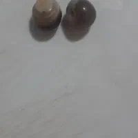 اهواز لشگرباد خیابان صدروایمان یگم