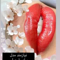 تخفیف ویژه شید لب و میکرو ابرو برای ده نفر|خدمات آرایشگری و زیبایی|قشم, |دیوار