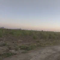 2-200باغ-تقاب
