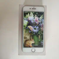 iPhone 8