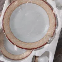 ظروف چینی