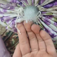 فروش بالش وتشک استفاده نشده کاملا نو