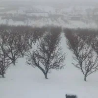 فروش زمین روستای سرجنار مرگزی