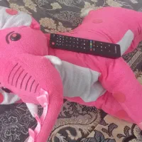 کریر وفیل بزرگ وکلی لوازم سیسمونی دیگه زیاده|کالسکه و لوازم جانبی|تربت جام, شاد|دیوار