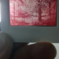 اسلاید های قدیمی با خشاب ۱۰۰ عددی|کلکسیون اشیاء عتیقه|مشکیندشت, |دیوار