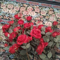 هشت شاخه گل رز خارجی|گل مصنوعی|تهران, فلاح|دیوار