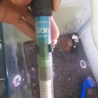 آکواریوم شیشه خم با تمام وسایل|ماهی|تبریز, |دیوار