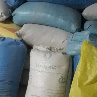 جو بذر