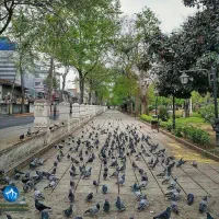 فروش ۲۱۷ متر ویلایی (سبزه میدان رشت)
