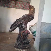 عقاب دو عدد دونه ۱۲۰هزار تومان