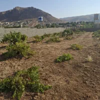 فروش زمین کلستان|فروش زمین و ملک کلنگی|شیراز, گلستان|دیوار