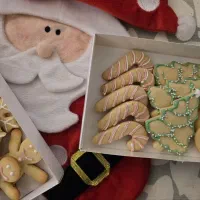 کوکی جینجربرد کریسمسی