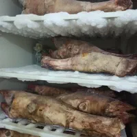 فروش پاچه گوساله|خوردنی و آشامیدنی|فلاورجان, |دیوار