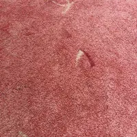 موکت پالاز سالم