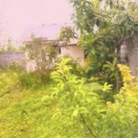 زمین-فروشی-پسیخان-بودیان