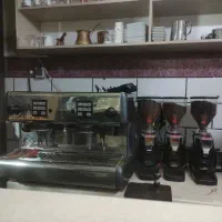 نیرو خانم در قهوه فروشی