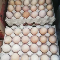 تخم مرغ گلپایگانی|خوردنی و آشامیدنی|رباط‌کریم, رباط‌کریم|دیوار