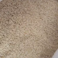 ۲۴من برنج چمپا به فروش میرسد