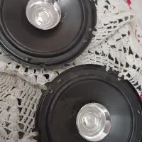 باند پایونر
