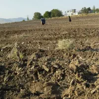 یک-هکتار-زمین-اجاره
