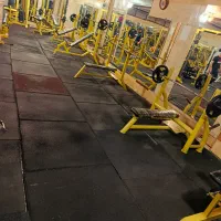 آکادمی ویوا