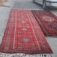 فرش دست باف|فرش|بناب, |دیوار