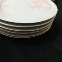 بشقاب چینی|ظروف سرو و پذیرایی|بوشهر, |دیوار