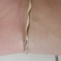 طلا بدون اجرت