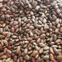 لوبیا|خوردنی و آشامیدنی|بروجرد, |دیوار