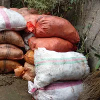 فروش پهن خشک گاو کهنه در کیسه|لوازم جانبی حیوانات|اسالم, |دیوار