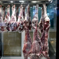 قصاب ماهر ذبح گوسفندبصورت بهداشتی زیر نیم ساعت