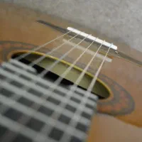 آموزش گیتار تضمینی